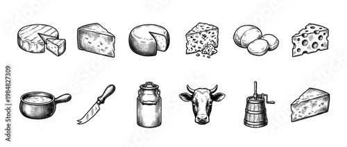 Set of hand-drawn dairy and cheese illustrations in a vintage engraving style, featuring various cheeses, a cow head, milk can, butter churn, and a knife for farm food concepts