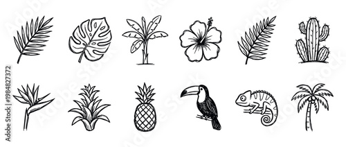 Set of hand-drawn tropical icons featuring a toucan, chameleon, pineapple, palm tree, monstera leaf, and hibiscus flower in a simple black and white doodle sketch style