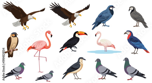 Diverse set of bird species icons including eagle, pigeon, flamingo, toucan, and hawk illustrated for nature education and wildlife study.