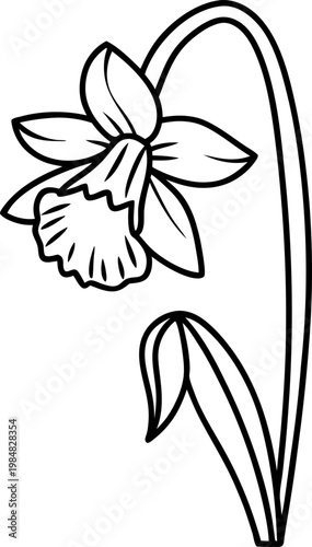 Simple black and white outline of a daffodil flower with curved stem and leaves