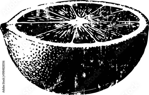 Half orange fruit illustration with textured shading and detailed segments in black and white