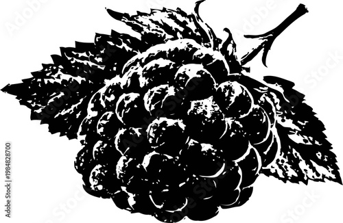 Detailed black and white illustration of a ripe blackberry with leaves on a branch