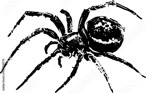 Detailed black spider illustration with long legs and segmented body, insect close up sketch