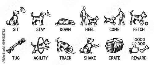 Hand-drawn dog training command icons set showing a puppy learning obedience skills like sit, stay, heel, and fetch in a simple black and white sketch doodle illustration style