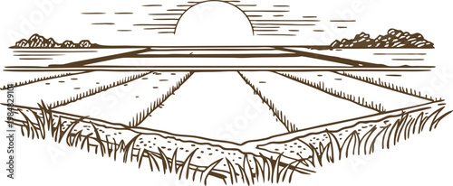 Sunset over rural farmland fields with horizon and detailed grasses sketch drawing
