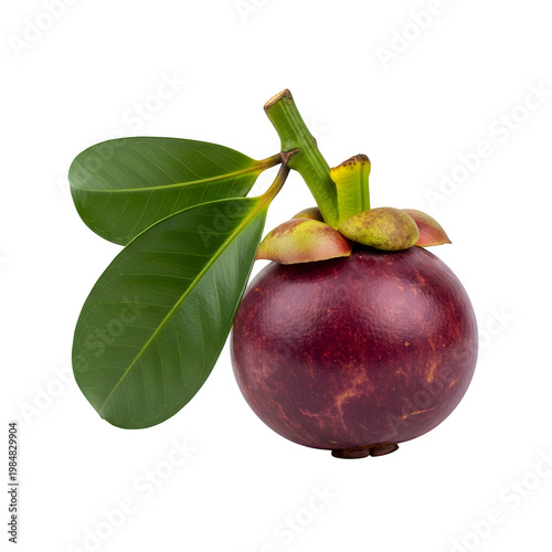 Ripe mangosteen fruit with green leaves isolated on transparent background