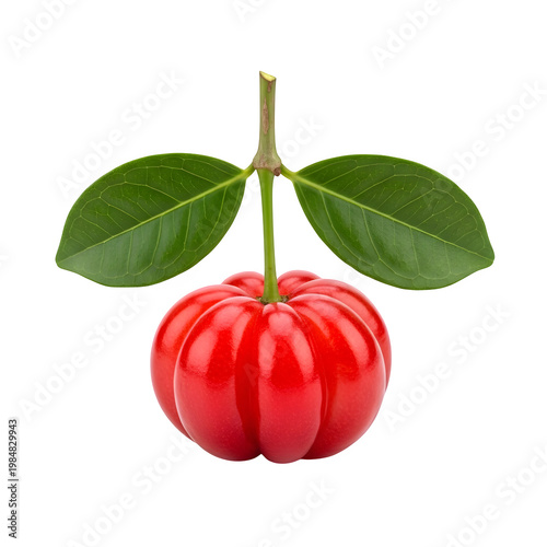 Fresh ripe red lychee fruit with green leaves isolated on transparent background