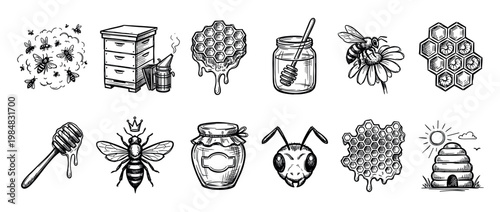 Various hand-drawn black and white bee and honey illustrations depict beekeeping elements, including hives, honeycombs, jars, dippers, and bees, rendered in a detailed vintage sketch style