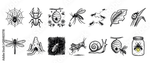 Various hand-drawn insect illustrations featuring a spider, beetle, mosquito, ants, caterpillar, ladybug, dragonfly, cockroach, grasshopper, snail, wasp, and firefly in a charming sketch style