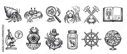 Set of vintage engraving style illustrations on marine biology and nautical themes, featuring crabs, a lobster, shrimp, a microscope, anchor, and a classic diving helmet