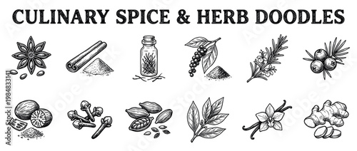 Collection of hand-drawn culinary spices and herbs is illustrated in a detailed, vintage-style black and white doodle art, showcasing various ingredients for cooking and flavoring