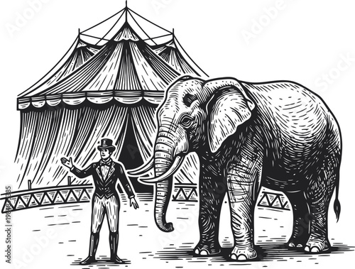 Circus ringmaster with elephant under big top tent in vintage engraving style