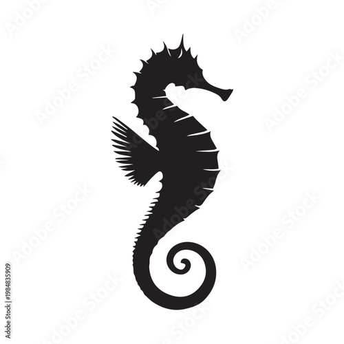 vector illustration of seahorse