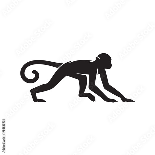 vector illustration of a monkey
