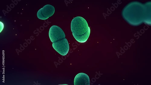 Enterococcus bacteria can cause bacteremia, endocarditis, sepsis, and complicated urinary tract infections, especially within nosocomial environments and in the context of antibiotic resistance