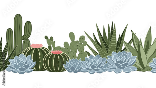 Beautiful collection of various green cacti and blue succulent plants arranged together in a garden illustration on a white background.