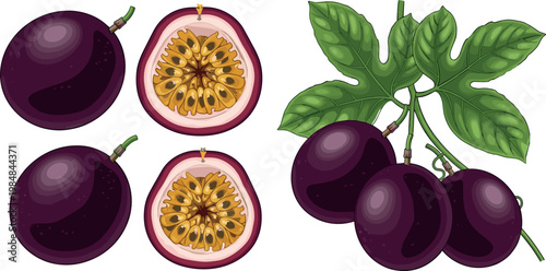 Purple Passion Fruit with Seeds and Leaves, Fresh Tropical Fruit for Food, Juice, and Healthy Design Concepts