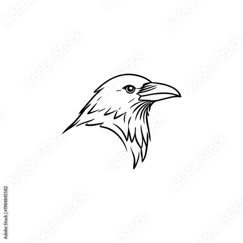 Minimalist Black and White Crow Head Sketch Outline Vector