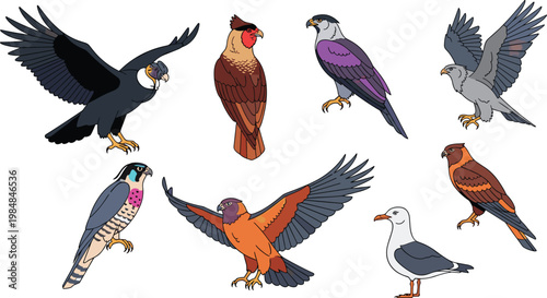 Birds of prey species and colorful raptor wildlife flat icon set