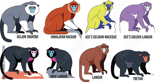Monkey and langur species colorful primate wildlife flat icon set