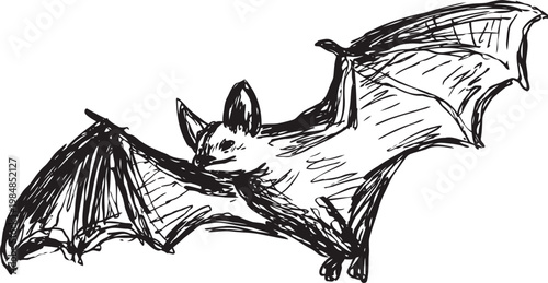 flying bat sketch hand drawn nocturnal mammal with outstretched wings in detailed ink