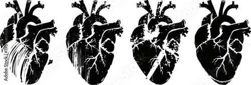 black silhouette of human heart anatomy in four variations medical illustration of cardiovascular system