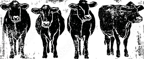 four black cows standing in a row with textured artistic shading