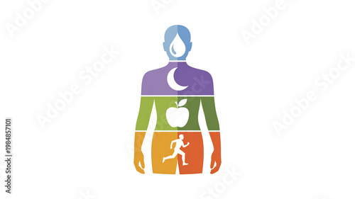 Human body with highlighted internal organs illustrating health and body systems. Isolated PNG on transparent background, concept of anatomy, nutrition and medical education.