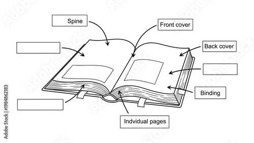 Illustrated Book Anatomy: An open book illustration, highlighting the essential components: spine, cover, pages and binding for the purpose of education and learning.