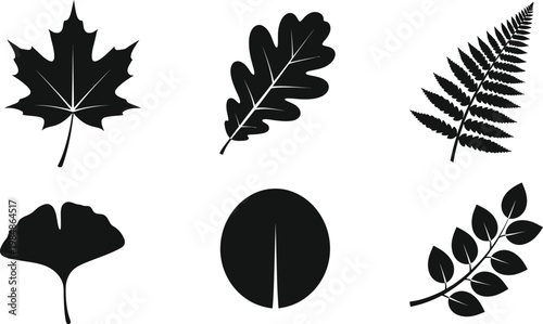 Black silhouettes of various leaves on white background, including maple, oak, fern, ginkgo