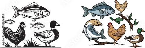 Farm and aquatic animals side by side, chickens, ducks, fish, and fowl