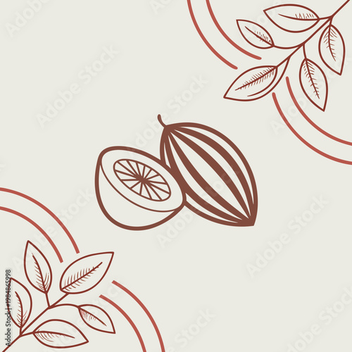 A drawing of a cacao pod and leaves