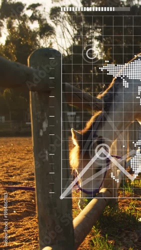 Vertical video: UI grid appearing, camera panning, vet tracking purple-halter horse grazing fence