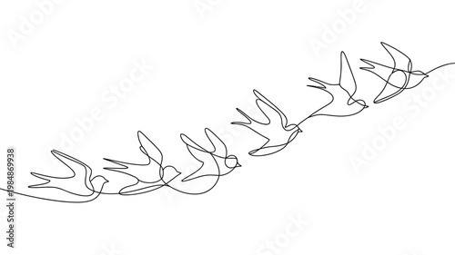 A sequence of line drawings shows swallows in flight, illustrating fluid motion and grace.