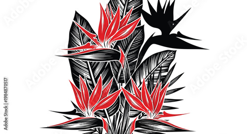 Tropical floral pattern, bird of paradise flowers, exotic leaves, black and red vector illustration