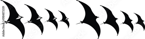 Black silhouette flock of flying birds against white background