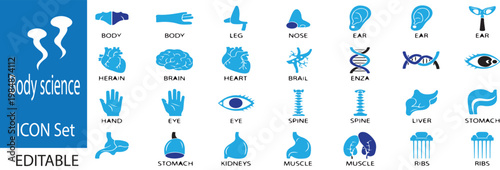 Human body science ,retina ,liver ,muscle ,thrower, eye, intestines on white background 