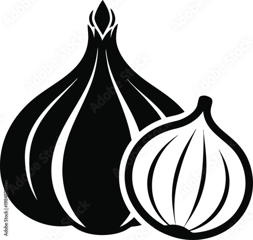 Black and White Illustration of Two Onions Vector, illustration