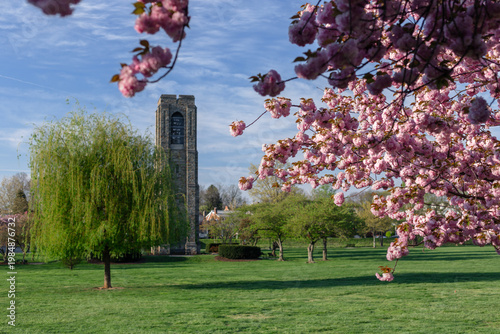 Scenic view of the historic Joseph Dill Baker Carillon in Baker Park, Frederick, Maryland, framed by vibrant pink cherry blossoms on a sunny spring morning.