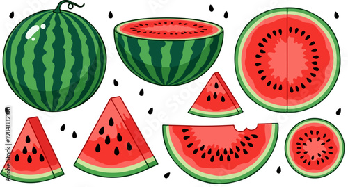 Fresh watermelon vector set, whole and sliced red melon fruit with seeds, summer food illustrations for healthy eating and menu design