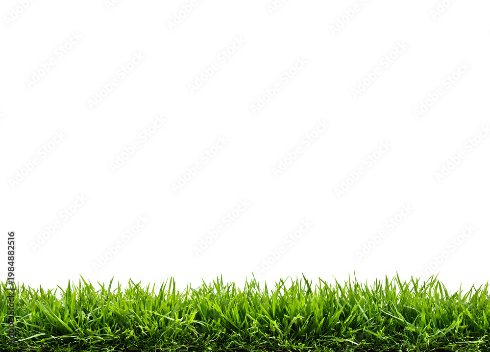 Fototapeta premium Grass, green lawn, Abstract natural beautiful background for showcasing products, goods, text. Nature, flora, eco-friendliness.