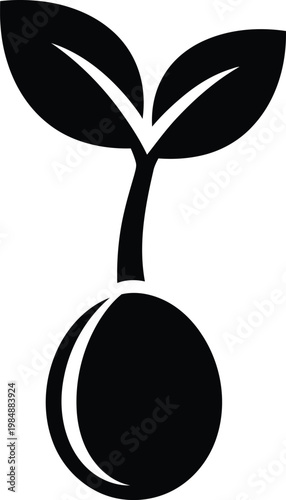 A black and white image of a sprouting seedling