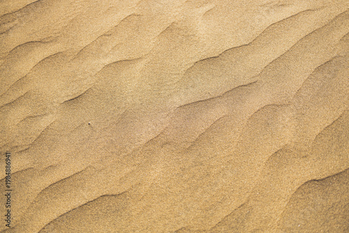 Golden sand dune ripples abstract texture top view landscape