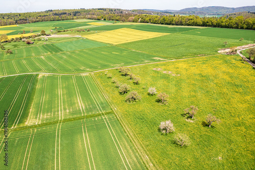 A bird's-eye view of the Taunus landscape awakening in spring, with blossoming trees and yellow rapeseed fields.