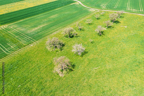 A bird's-eye view of the Taunus landscape awakening in spring, with blossoming trees and yellow rapeseed fields.
