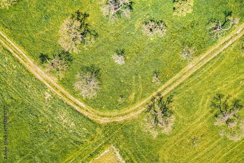 A bird's-eye view of the Taunus landscape awakening in spring, with blossoming trees and yellow rapeseed fields.
