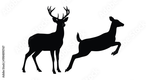 Two deer in a field a striking black silhouette on transparent background