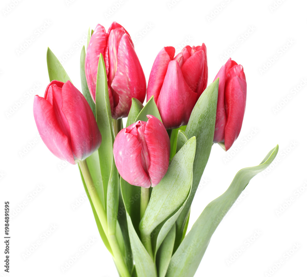 Fototapeta premium Bouquet of pink tulips isolated on white