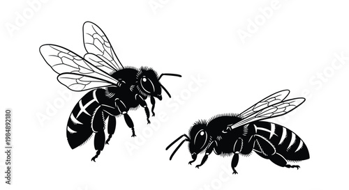 Two honeybees in flight a striking black silhouette on transparent background