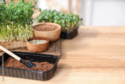 Container with soil, shovel, microgreens seeds on wooden table indoors, closeup. Space for text